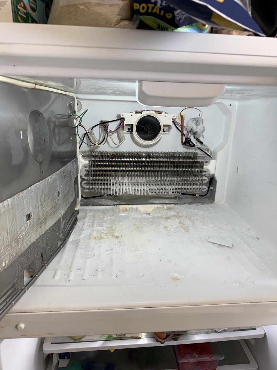 Freezer interior with evaporator coils and fan assembly exposed — refrigerator repair Tampa Bay