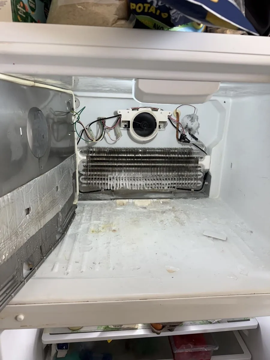 Freezer interior with evaporator coils and fan assembly exposed — refrigerator repair Tampa Bay